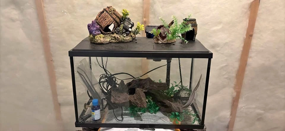 10 gallon fish tank