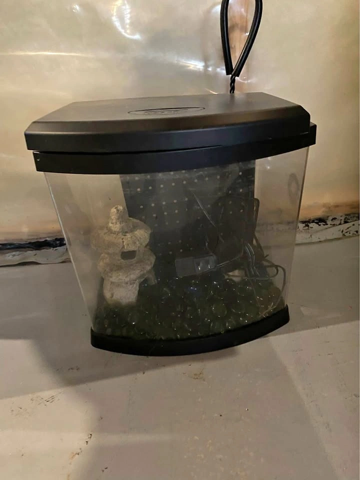 2.5 gallon Fish tank and decor