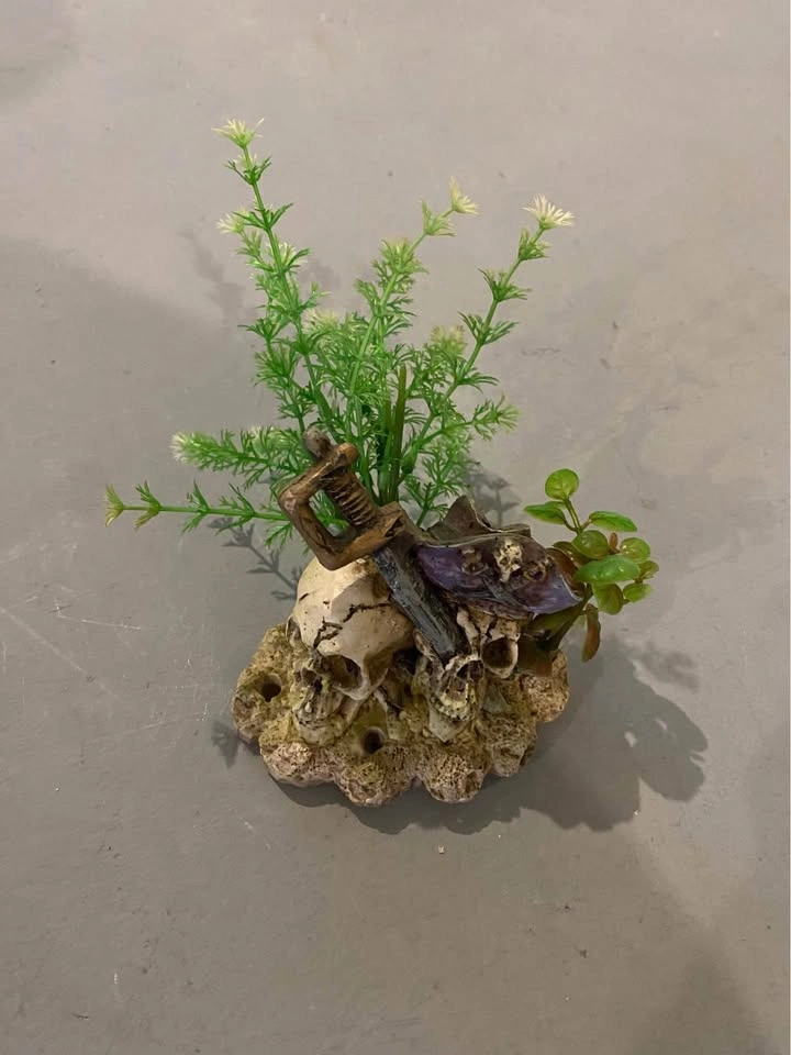 2.5 gallon Fish tank and decor - photo 4