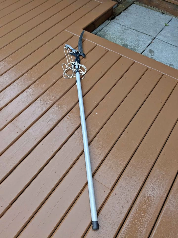 Tree Pruner
