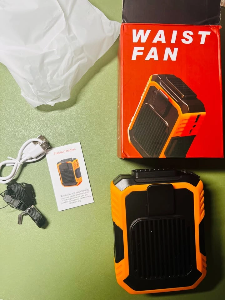 Waist Fan FS-F49