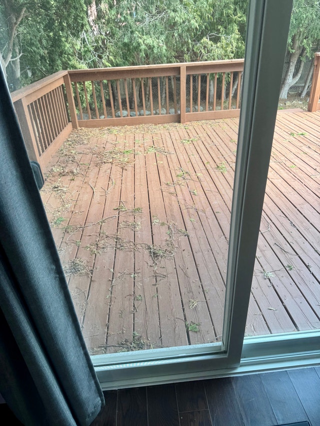 Beautiful Furnished Room for Rent – Female Only | Whitby - photo 4