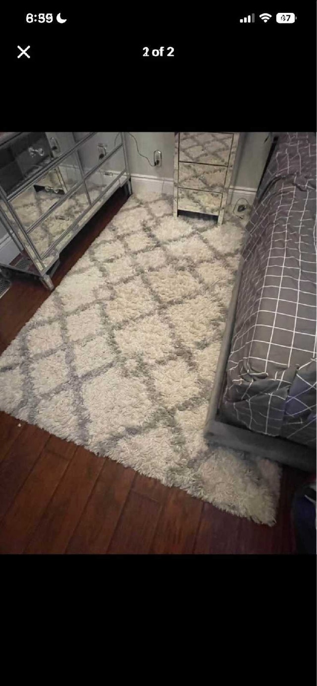 Gray and White Fluffy Carpet