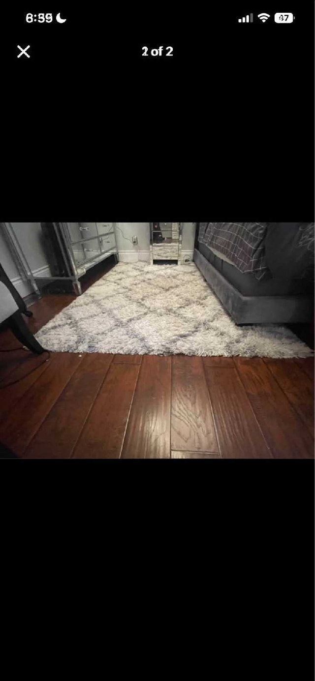 Gray and White Fluffy Carpet - photo 2