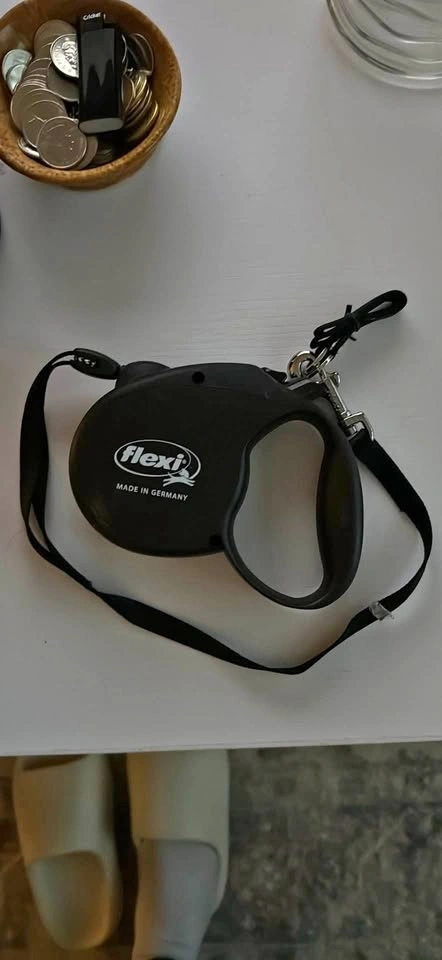 Pet leash cord retractable