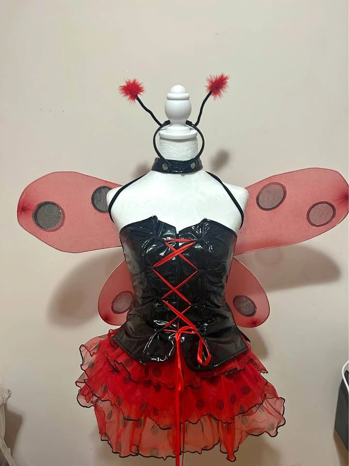 LadyBug Halloween Costume XS-S
