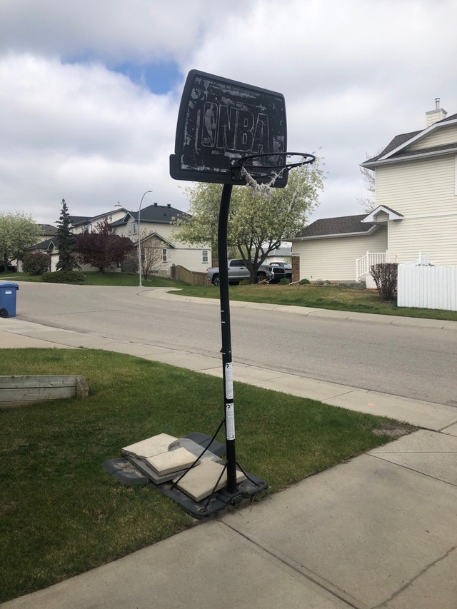 Basketball Net