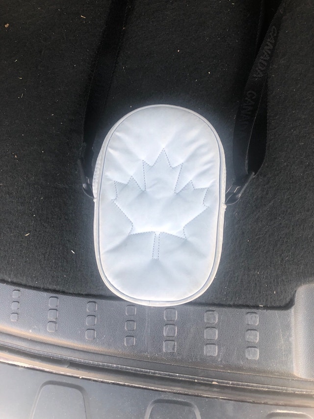 Lululemon Belt Bag