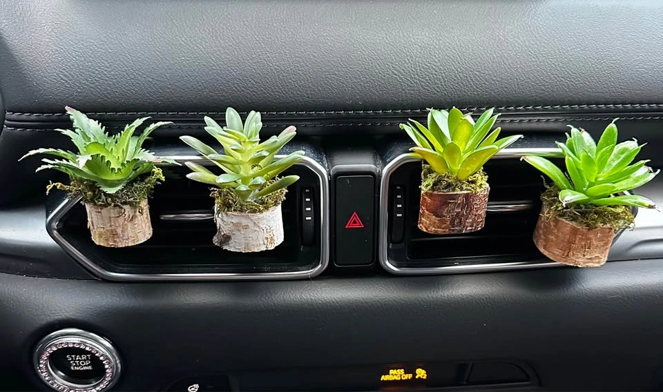 Car Vent Plants – Cute & Unique Car Decor 🪴