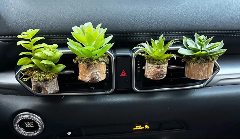 Car Vent Plants – Cute & Unique Car Decor 🪴 - photo 2