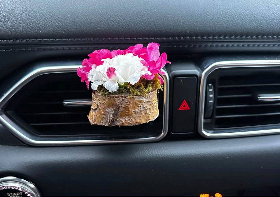 Car Vent Plants – Cute & Unique Car Decor 🪴 - photo 3