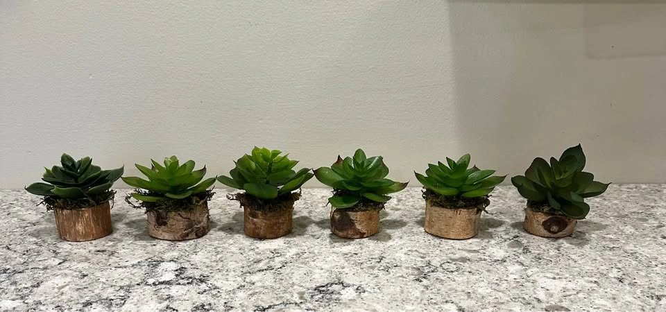Car Vent Plants – Cute & Unique Car Decor 🪴 - photo 4