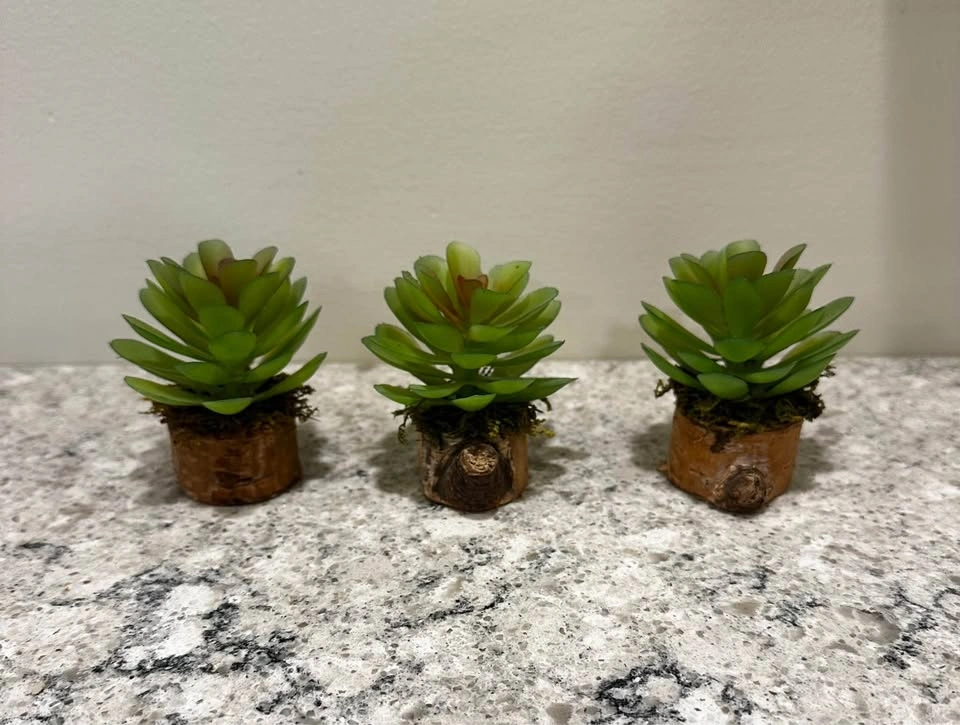 Car Vent Plants – Cute & Unique Car Decor 🪴 - photo 5