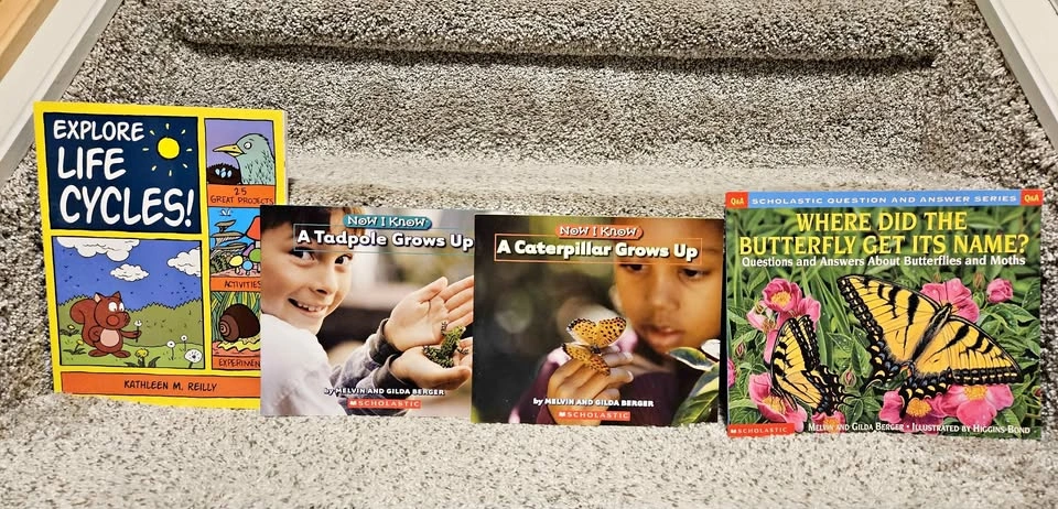Life cycle books