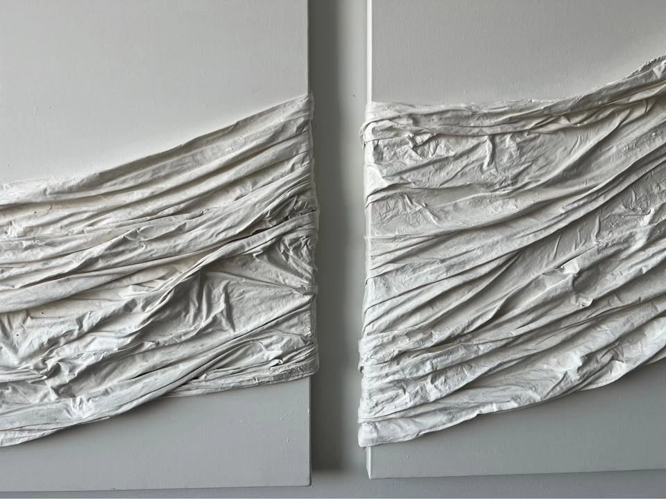 White Canvas Art - photo 3