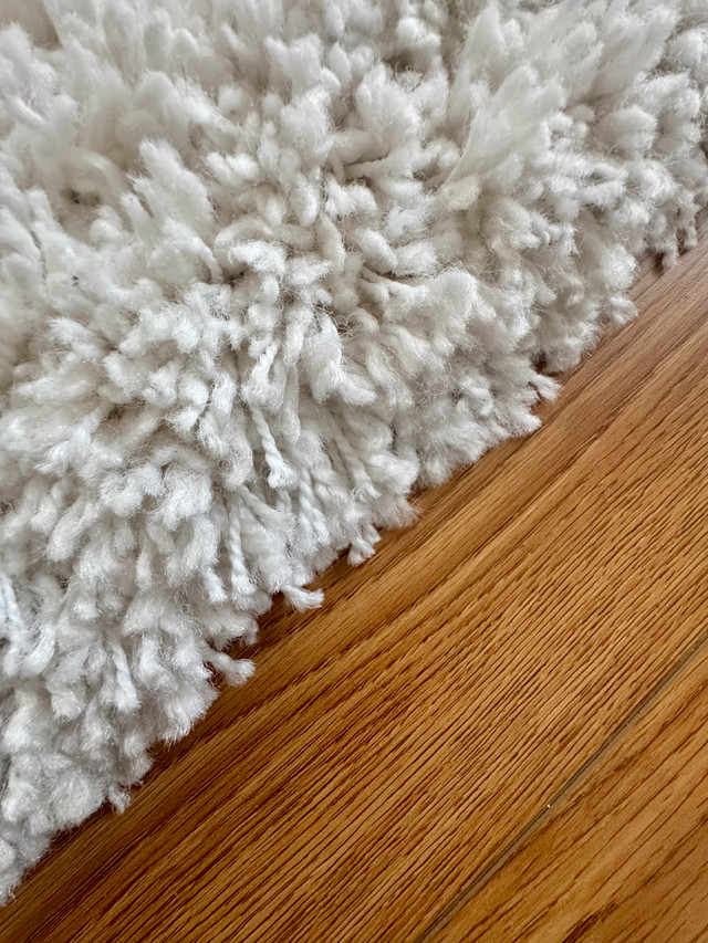 Area Rug - photo 2