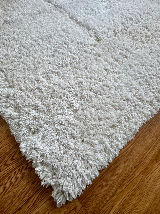 Area Rug - photo 3