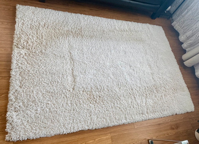 Area Rug - photo 4