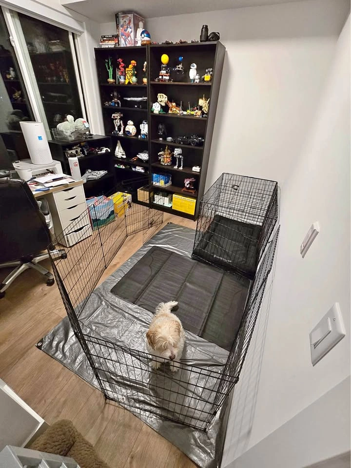 Pet Playpen