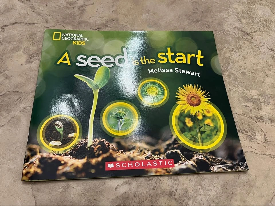 A seed is the start by Melissa Stewart