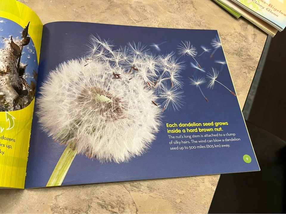 A seed is the start by Melissa Stewart - photo 3