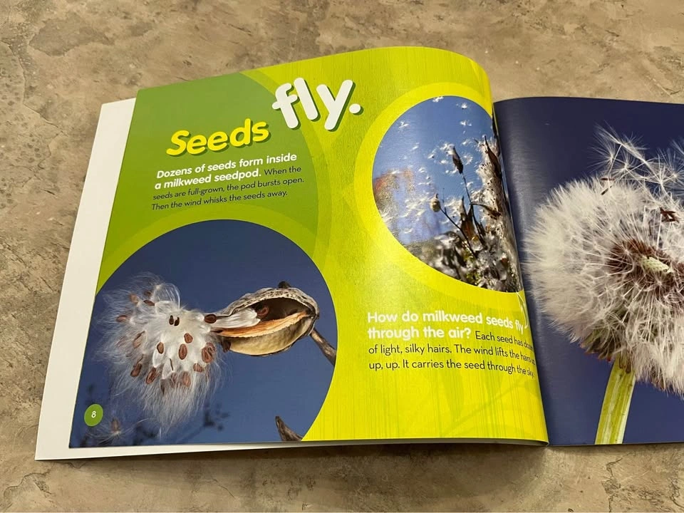 A seed is the start by Melissa Stewart - photo 4