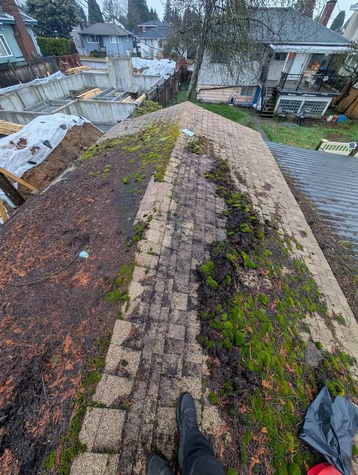 Shingles - photo 2