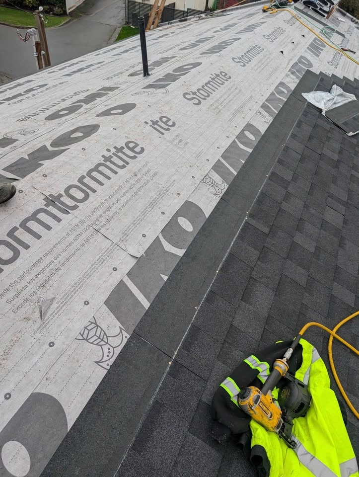 Shingles - photo 4