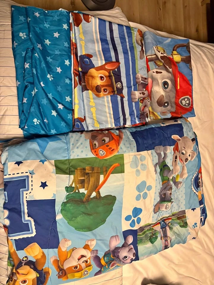 Paw Patrol Twin Bedding Set