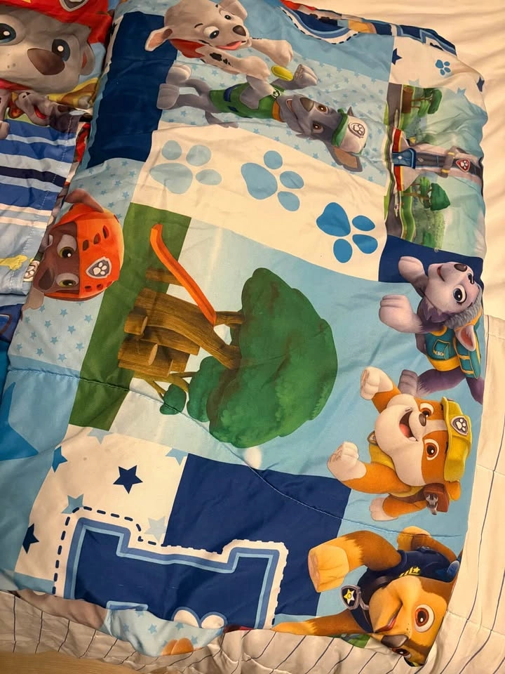 Paw Patrol Twin Bedding Set - photo 3