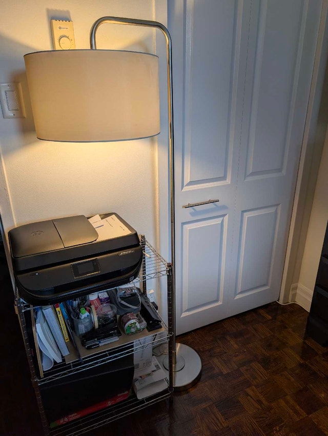 Modern Brushed Metal Arc Floor Lamp with Drum Shade