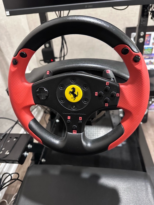Thrustmaster Racing Wheel