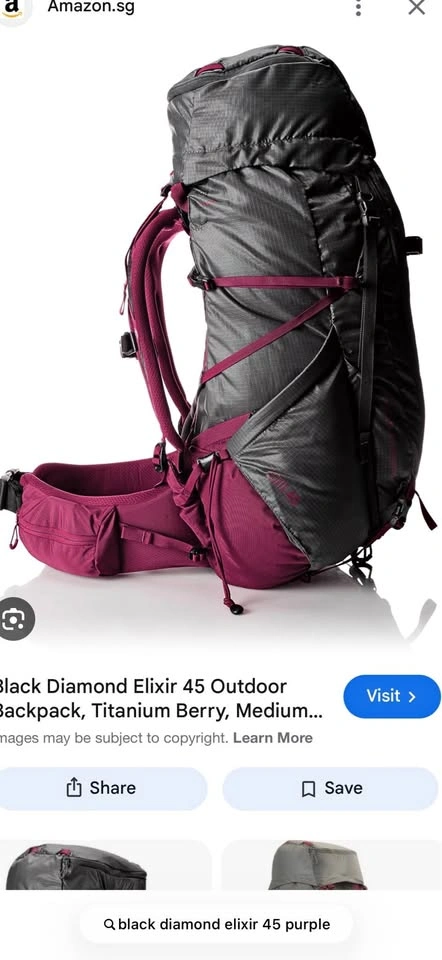 Black Diamond Purple 45L Backpack