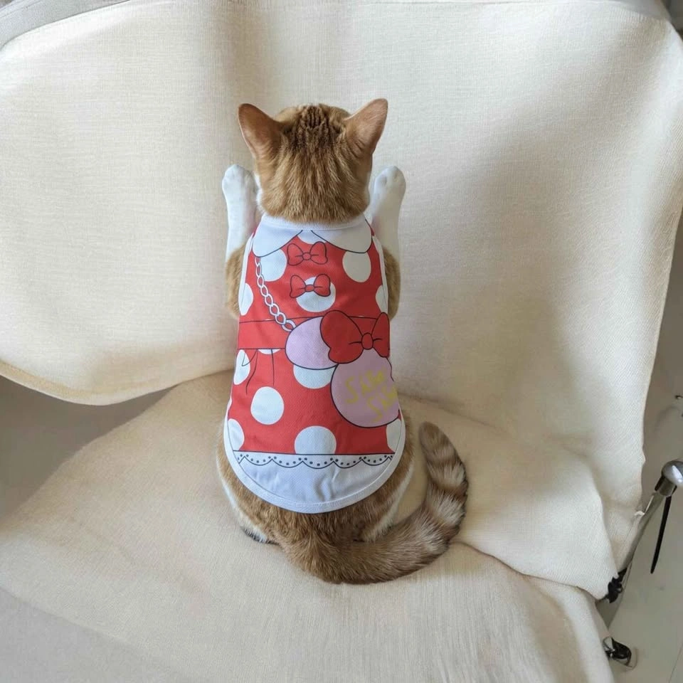 Cute Pet Outfit Set - photo 2