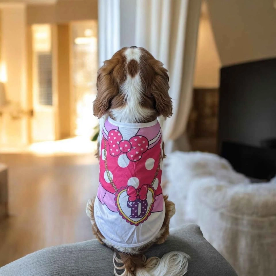 Cute Pet Outfit Set - photo 3