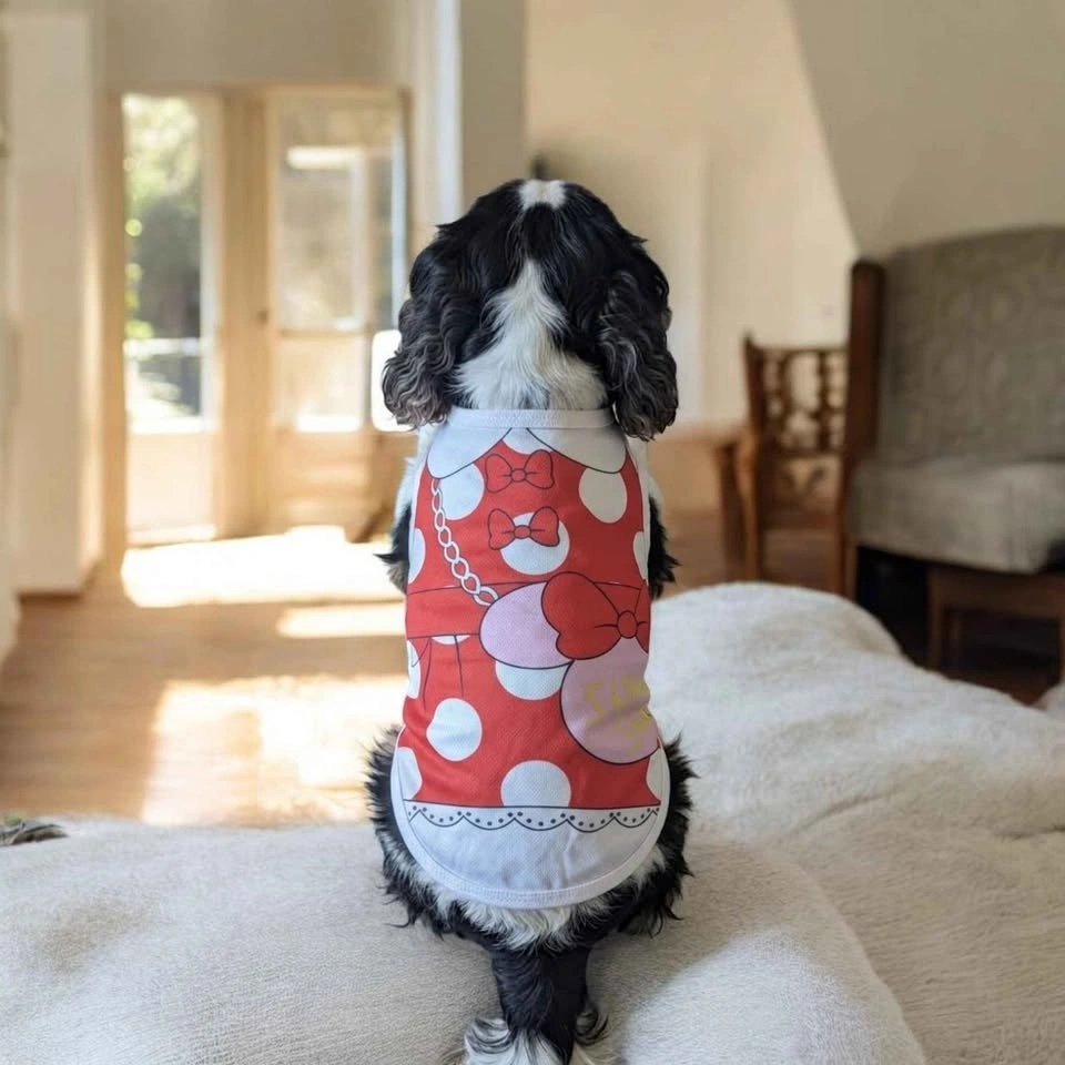 Cute Pet Outfit Set - photo 4
