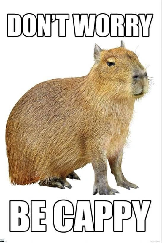 Don't Worry Be Cappy Posters (Trend International)