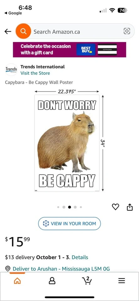 Don't Worry Be Cappy Posters (Trend International) - photo 2