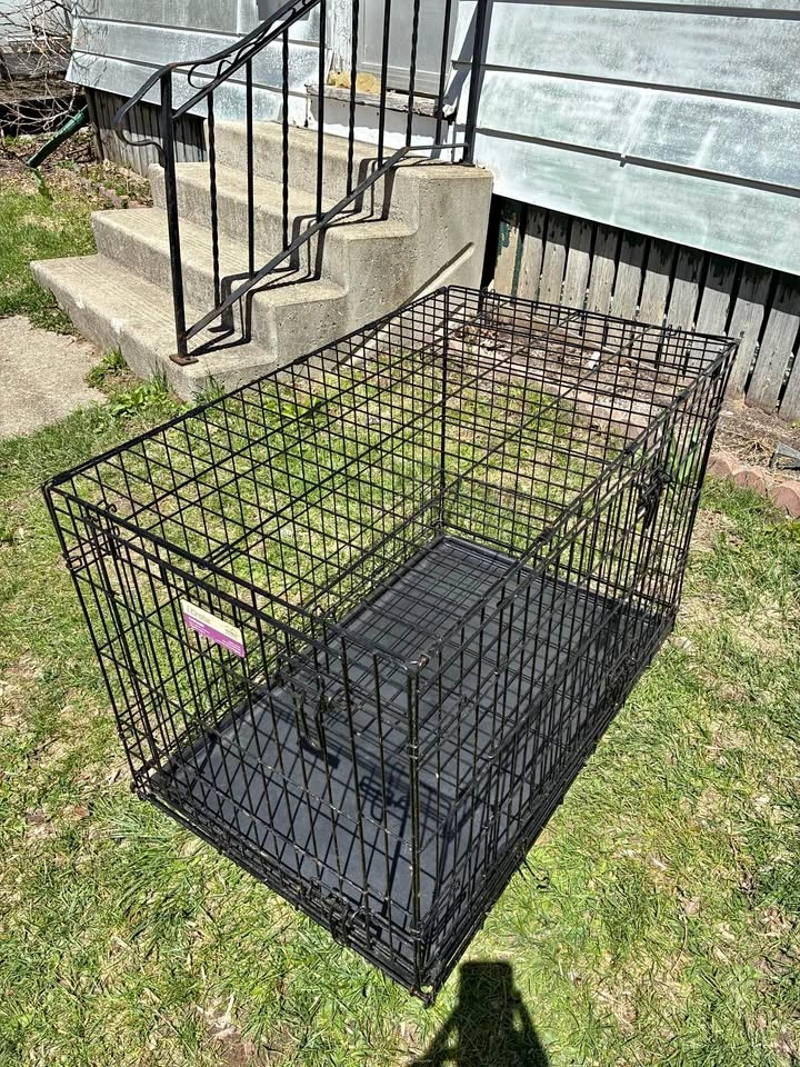 Large foldable pet crate