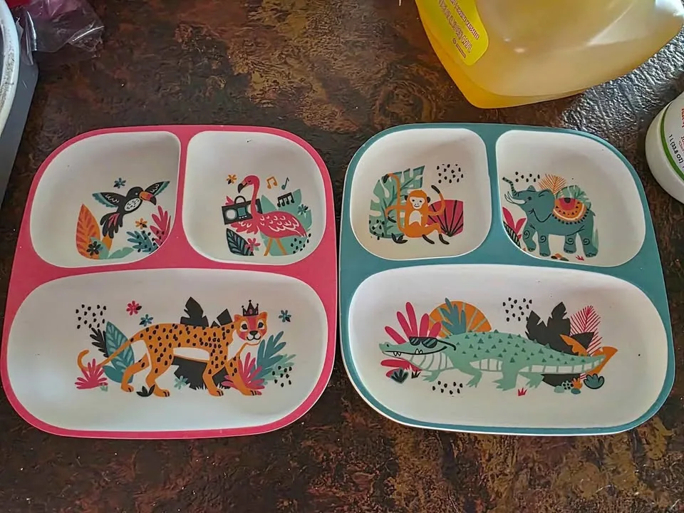 Jump Kids World Bamboo Plates (Set of 2) - $5 thumbnail
