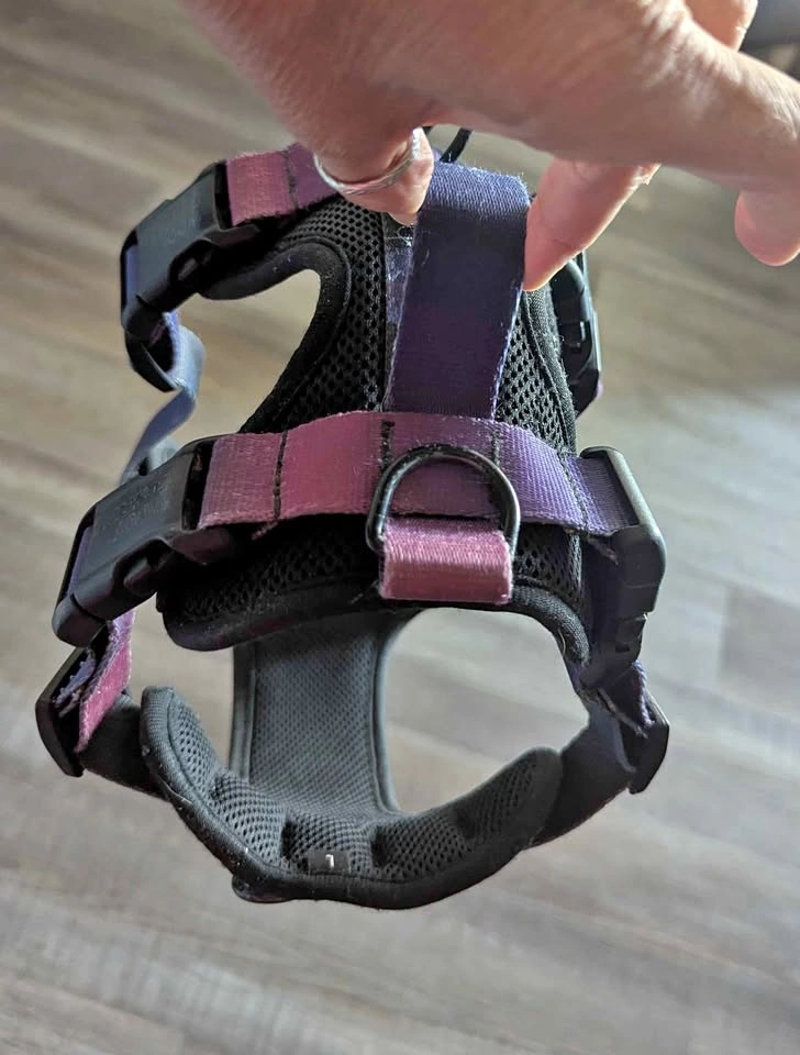 Woof Concept Mesh Dog Harness - Large