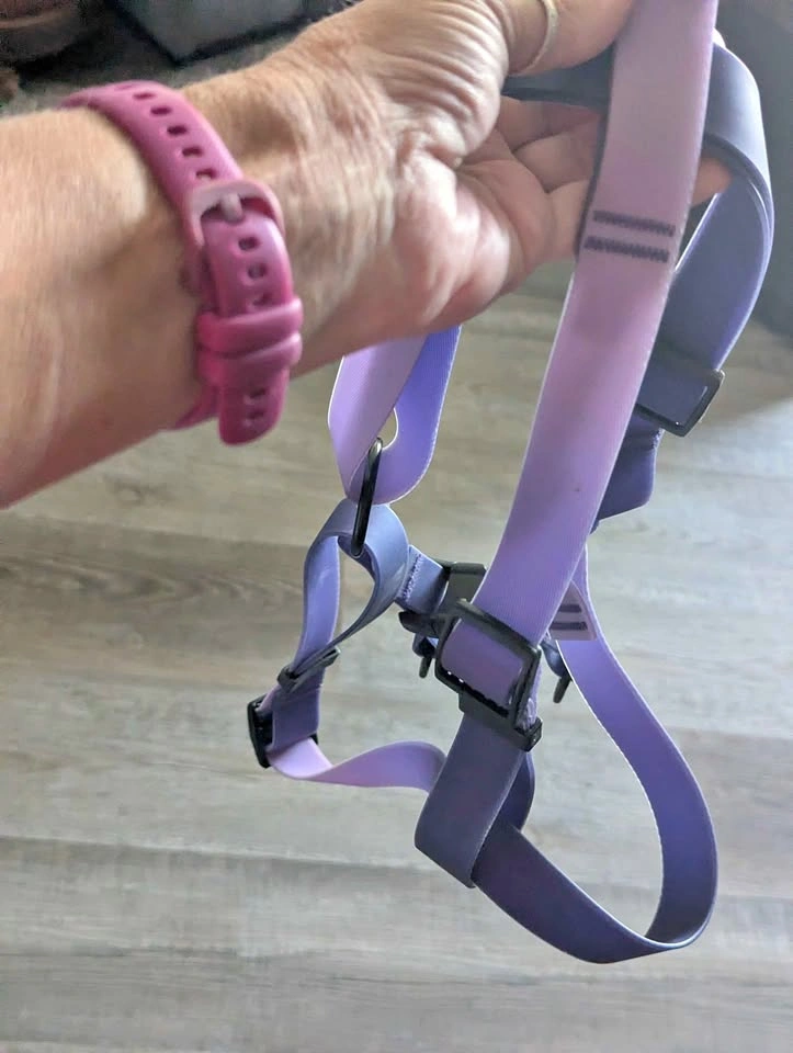 XL Step-In Waterproof Dog Harness (Woof Brand)