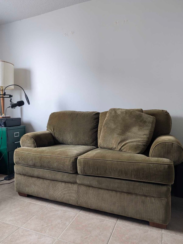 Olive couch