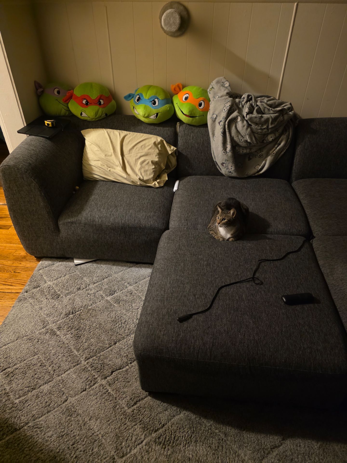 5 Piece modular Sectional sofa