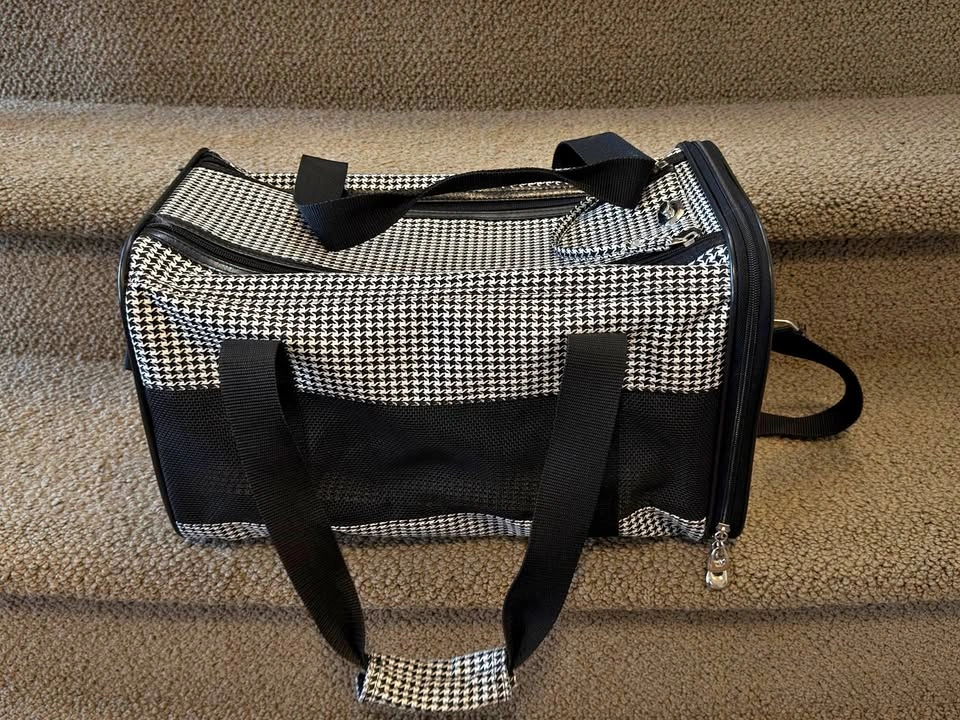 Soft-Sided Small Carrier