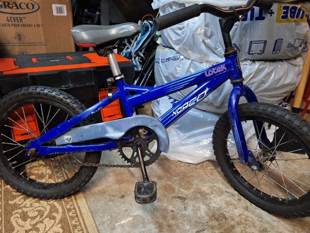 Norco Loteck 16"