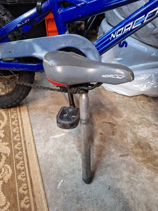 Norco Loteck 16" - photo 2