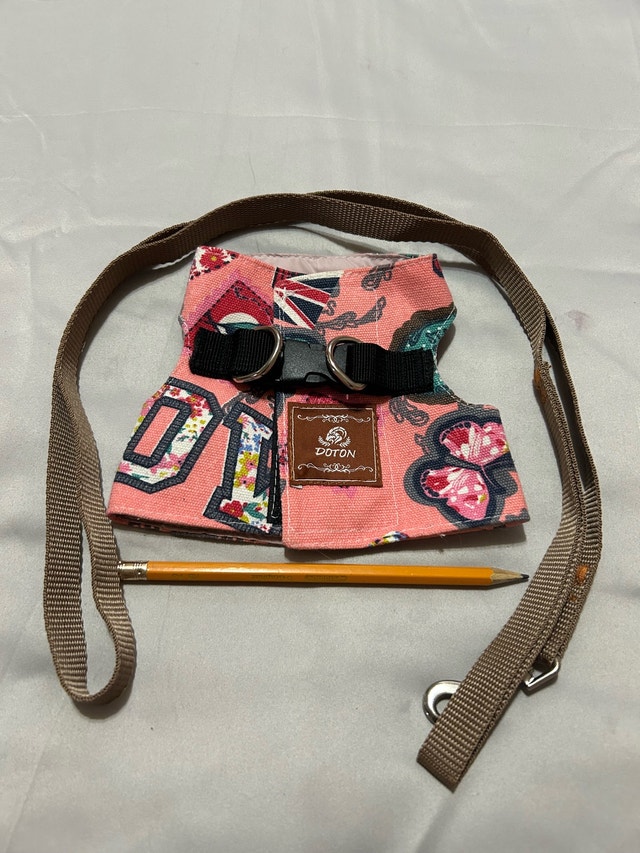 New Small Pet Harness & Leash Set with Carrier - photo 3