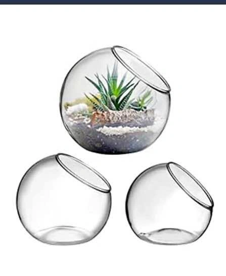 3 Glass Globes for cactus etc