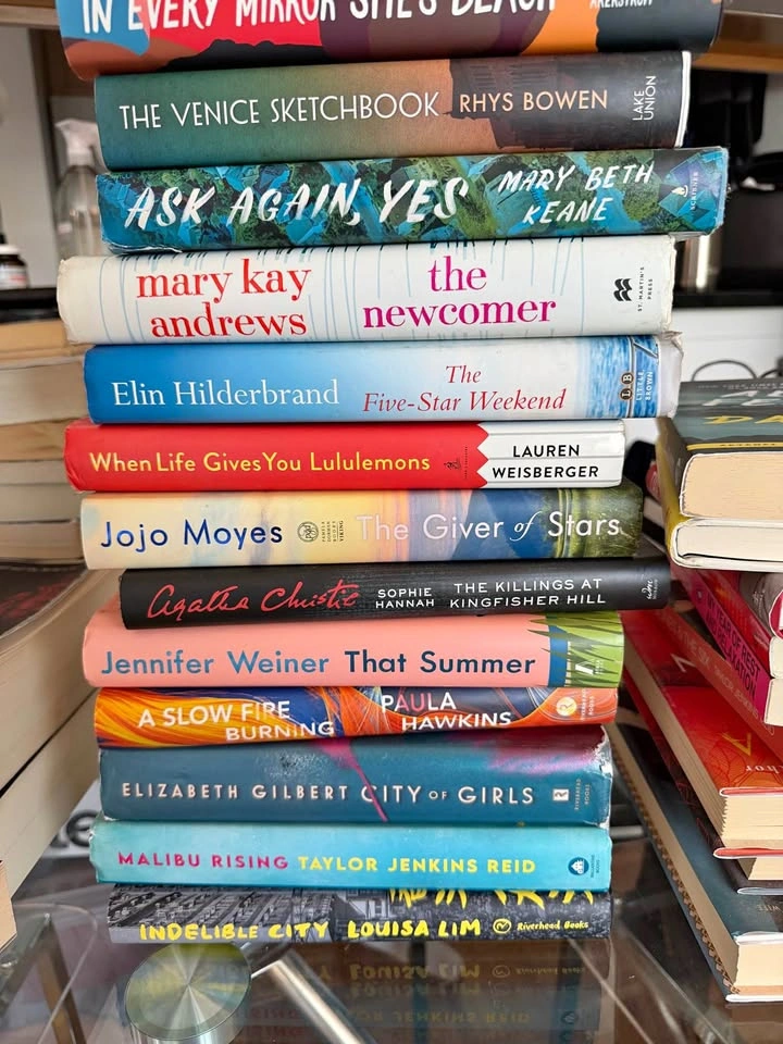 Huge Book Lot - Taylor Jenkins Reid, Elin Hilderbrand, Brandon S